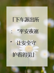 下车派出所：“平安夜巡” 让安全守护看得见