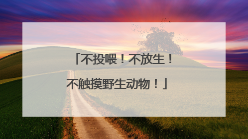 不投喂！不放生！不触摸野生动物！