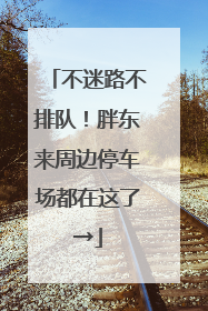 不迷路不排队！胖东来周边停车场都在这了→