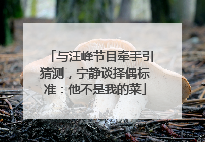 与汪峰节目牵手引猜测，宁静谈择偶标准：他不是我的菜