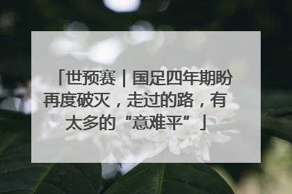 世预赛｜国足四年期盼再度破灭，走过的路，有太多的“意难平”