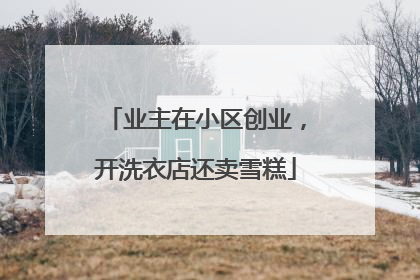 业主在小区创业，开洗衣店还卖雪糕