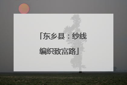 东乡县：纱线编织致富路