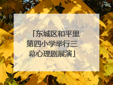 东城区和平里第四小学举行三幕心理剧展演