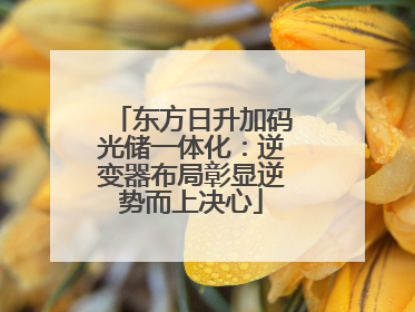 东方日升加码光储一体化：逆变器布局彰显逆势而上决心