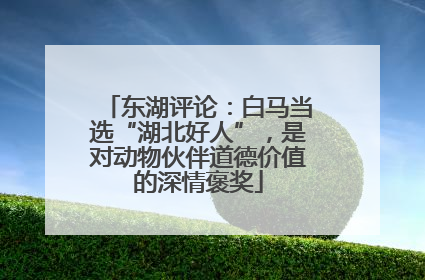东湖评论：白马当选“湖北好人”，是对动物伙伴道德价值的深情褒奖