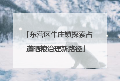 东营区牛庄镇探索占道晒粮治理新路径