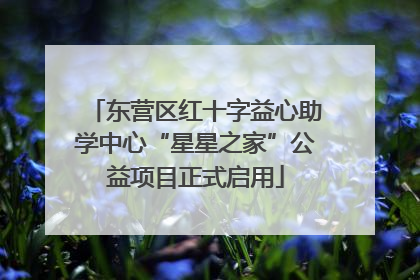 东营区红十字益心助学中心“星星之家”公益项目正式启用