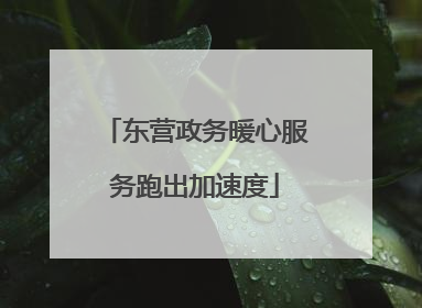 东营政务暖心服务跑出加速度