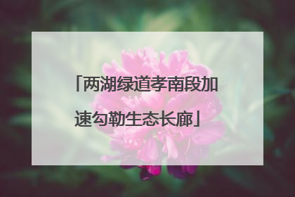 两湖绿道孝南段加速勾勒生态长廊