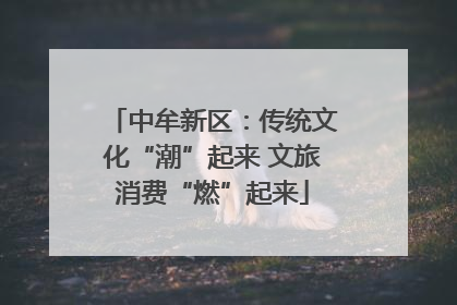 中牟新区：传统文化“潮”起来 文旅消费“燃”起来