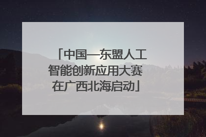 中国—东盟人工智能创新应用大赛在广西北海启动