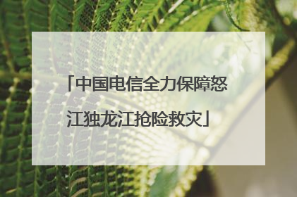 中国电信全力保障怒江独龙江抢险救灾