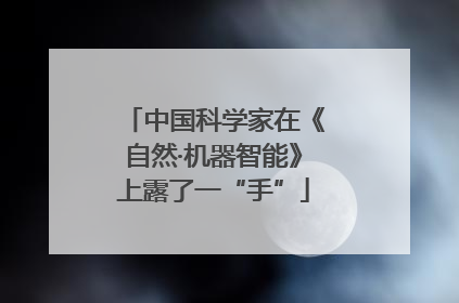 中国科学家在《自然·机器智能》上露了一“手”