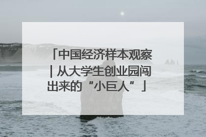 中国经济样本观察｜从大学生创业园闯出来的“小巨人”