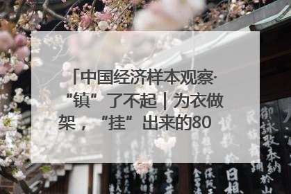 中国经济样本观察·“镇”了不起｜为衣做架，“挂”出来的80亿元“衣架产业”