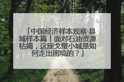 中国经济样本观察·县域样本篇丨面对石油资源枯竭，这座戈壁小城是如何走出困境的？