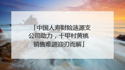 中国人寿财险涟源支公司助力，十甲村黄桃销售难题迎刃而解