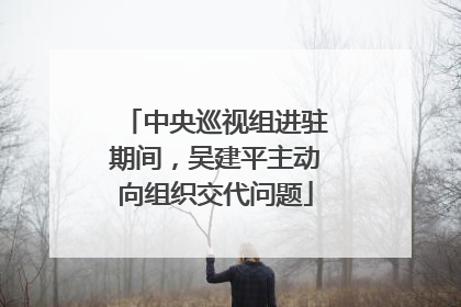 中央巡视组进驻期间，吴建平主动向组织交代问题