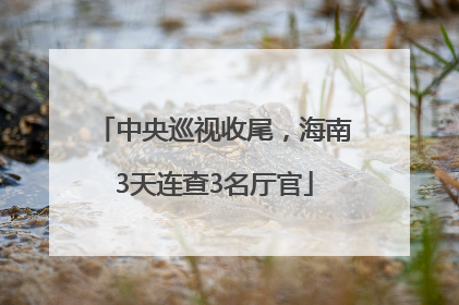 中央巡视收尾，海南3天连查3名厅官