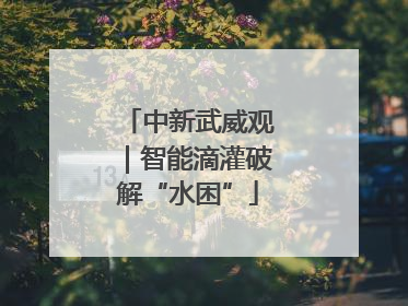 中新武威观｜智能滴灌破解“水困”