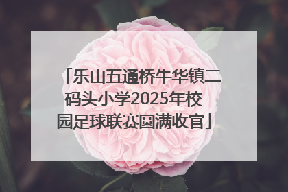 乐山五通桥牛华镇二码头小学2025年校园足球联赛圆满收官