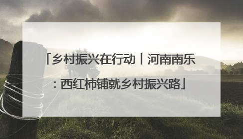 乡村振兴在行动丨河南南乐：西红柿铺就乡村振兴路