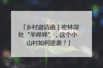 乡村邀请函｜密林深处“羊咩咩”，这个小山村如何逆袭？