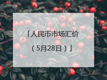 人民币市场汇价（5月28日）