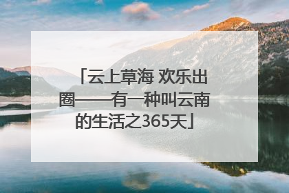 云上草海 欢乐出圈——有一种叫云南的生活之365天