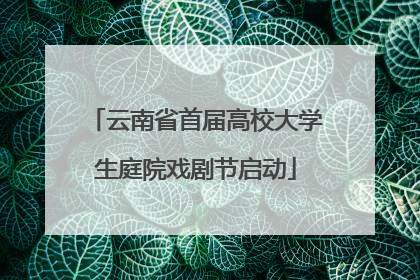 云南省首届高校大学生庭院戏剧节启动