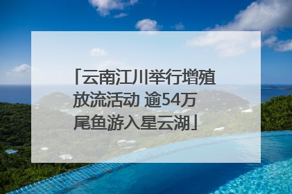 云南江川举行增殖放流活动 逾54万尾鱼游入星云湖