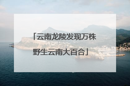 云南龙陵发现万株野生云南大百合