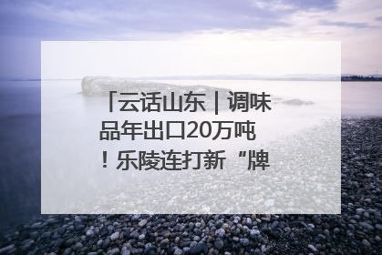 云话山东｜调味品年出口20万吨！乐陵连打新“牌”助力企业出海