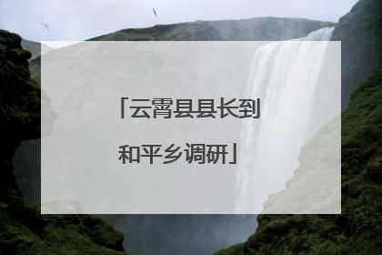 云霄县县长到和平乡调研