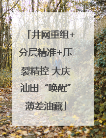 井网重组+分层精准+压裂精控 大庆油田“唤醒”薄差油藏