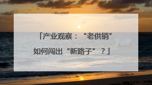 产业观察：“老供销”如何闯出“新路子”？