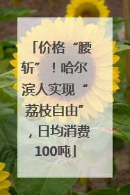 价格“腰斩”！哈尔滨人实现“荔枝自由”，日均消费100吨