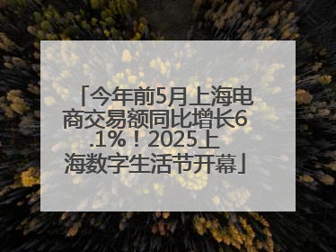 今年前5月上海电商交易额同比增长6.1%！2025上海数字生活节开幕