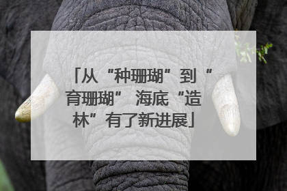 从“种珊瑚”到“育珊瑚” 海底“造林”有了新进展
