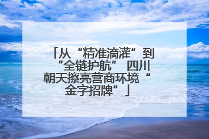 从“精准滴灌”到“全链护航” 四川朝天擦亮营商环境“金字招牌”