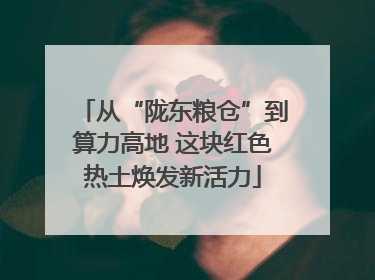 从“陇东粮仓”到算力高地 这块红色热土焕发新活力