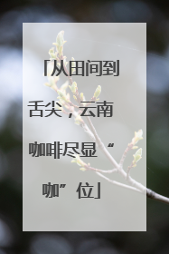 从田间到舌尖，云南咖啡尽显“咖”位