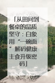从田间到餐桌的品质坚守：白象用“一碗面”解码健康主食升级密码