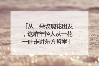 从一朵玫瑰花出发，这群年轻人从一花一叶走进东方哲学