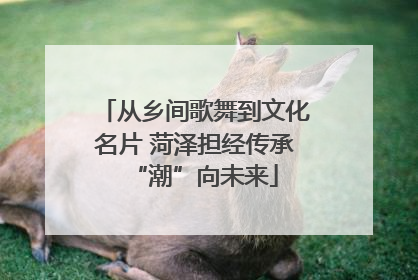 从乡间歌舞到文化名片 菏泽担经传承“潮”向未来