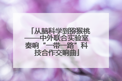 从脑科学到猕猴桃——中外联合实验室奏响“一带一路”科技合作交响曲