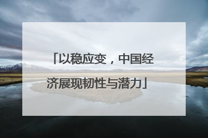 以稳应变，中国经济展现韧性与潜力