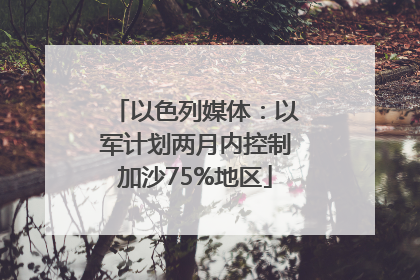 以色列媒体：以军计划两月内控制加沙75%地区