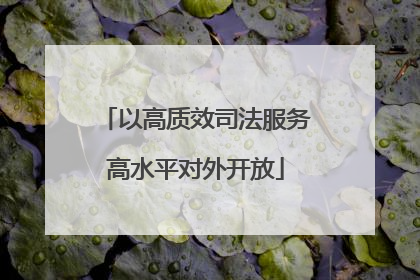 以高质效司法服务高水平对外开放